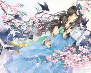 叶辰给姐姐结婚